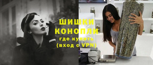соль ск Горнозаводск