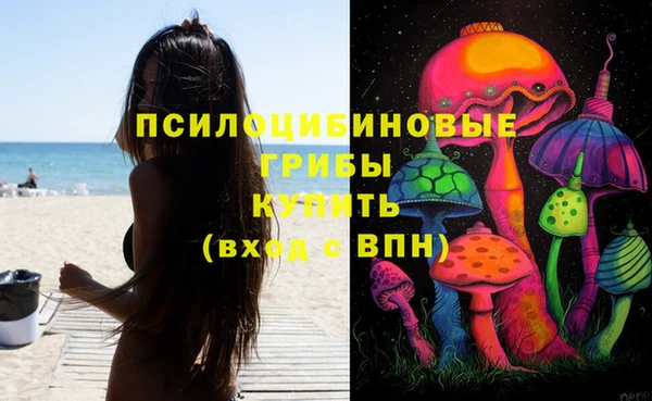 соль ск Горнозаводск