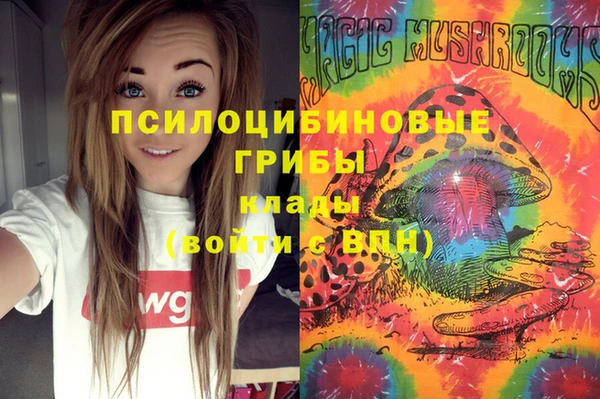 мяу мяу мука Вяземский
