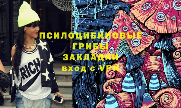 гидропоника Горно-Алтайск