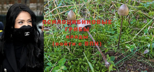 не бодяженный Горняк